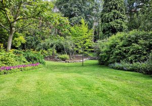Optimiser l'expérience du jardin à La Roche-sur-Yon